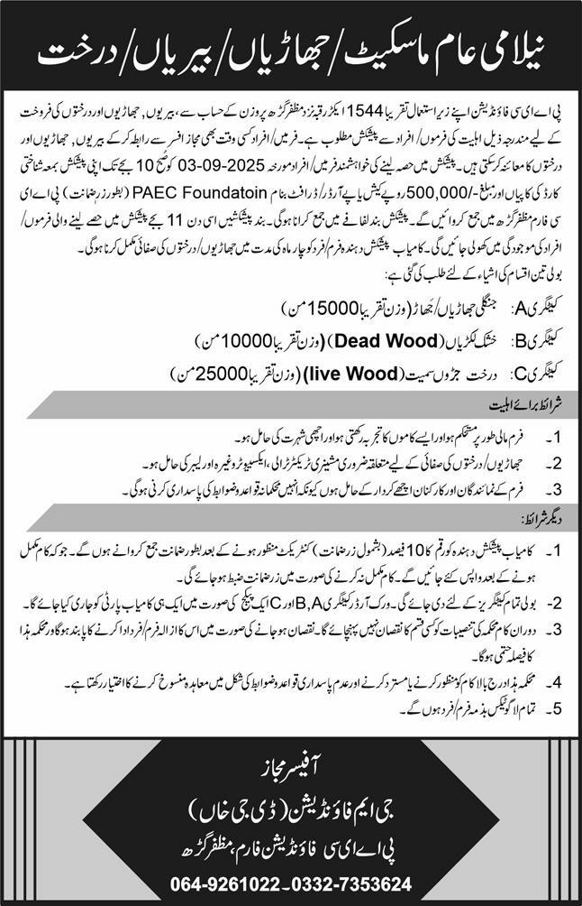 GM Foundation Muzaffargarh Tender Notice